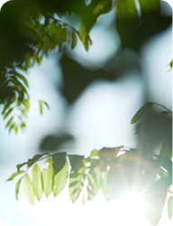 葫蘆墩文化理念 - 圖示1 葫蘆墩文化理念 - 圖示1