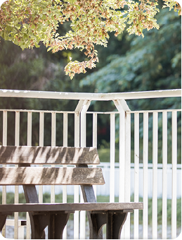 葫蘆墩文化理念 - 圖示6 葫蘆墩文化理念 - 圖示6